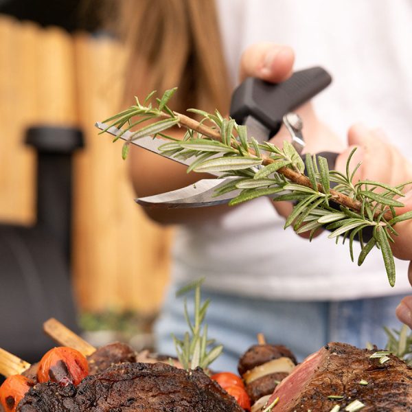 BBQ Shears Supply - Image 3